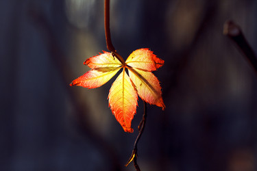 Similar image 8524866