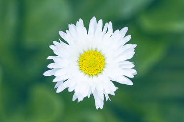 Similar image 8524867