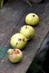 Similar image 8524868