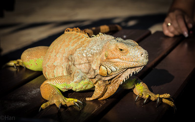 Similar image 8524874