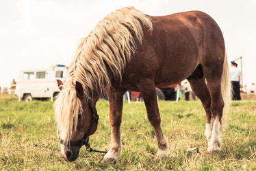 Similar image 8524878