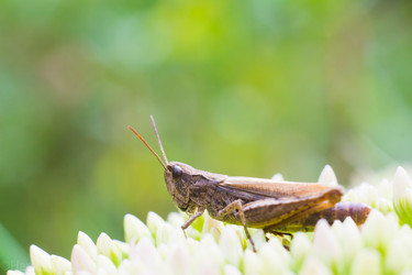 Similar image 8524880