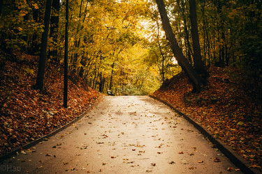 Similar image 8524883