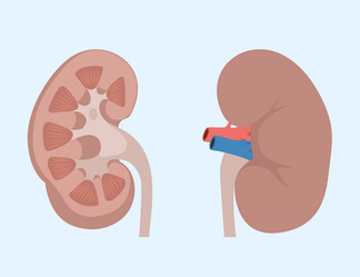 Similar image 8524925