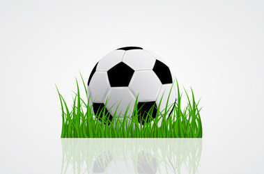 Similar image 8525136