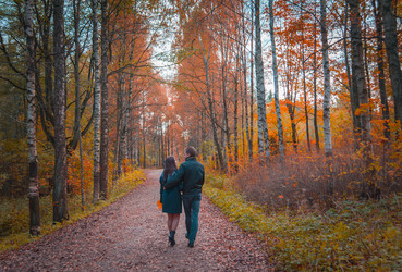 Similar image 8525232