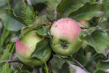 Similar image 8525754