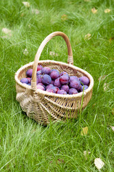 Similar image 8525756