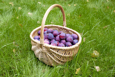 Similar image 8525757