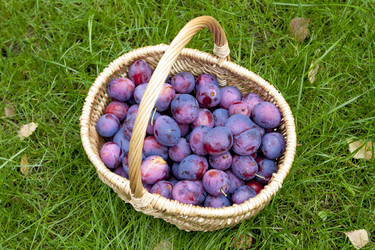 Similar image 8525758