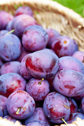 Similar image 8525759