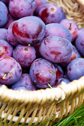 Similar image 8525760