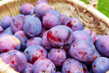 Similar image 8525761