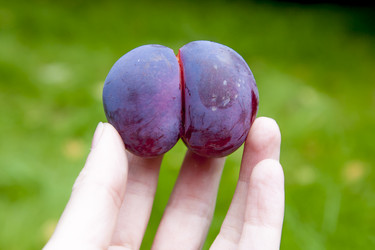 Similar image 8525782