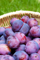 Similar image 8525783