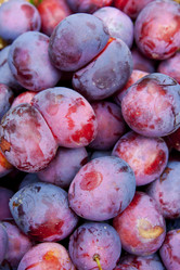 Similar image 8525784