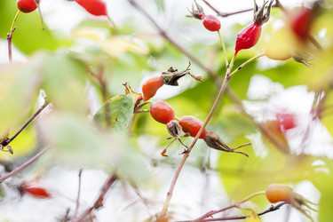 Similar image 8525785