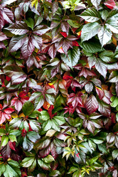 Similar image 8525787