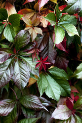 Similar image 8525788