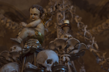 Similar image 8525888