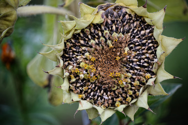 Similar image 8525926