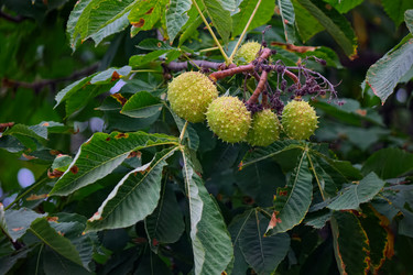 Similar image 8525927