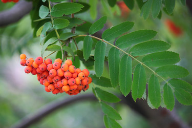 Similar image 8525928