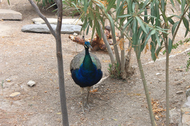 Similar image 8525947