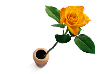 Similar image 8525951