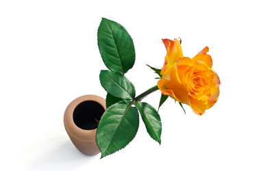 Similar image 8525953