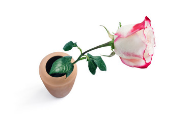 Similar image 8525954