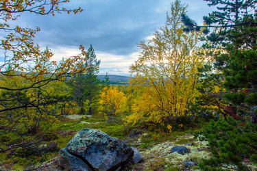 Similar image 8525979