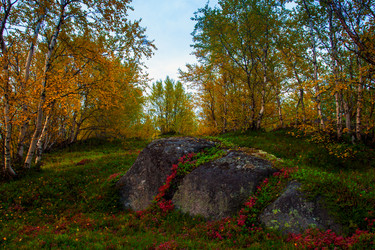 Similar image 8525982