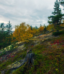 Similar image 8525984