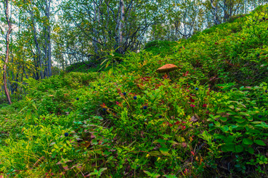 Similar image 8525986