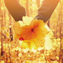 Similar image 8526072