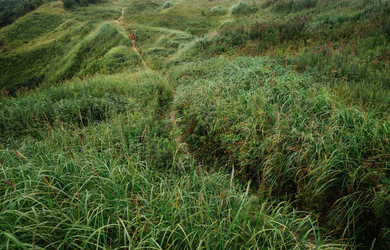 Similar image 8526077