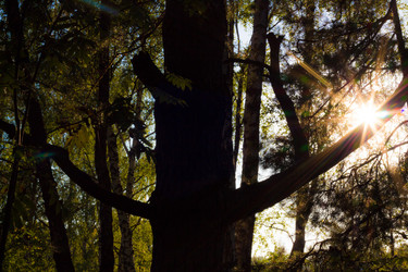 Similar image 8526167