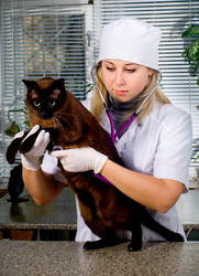 Similar image 8526218