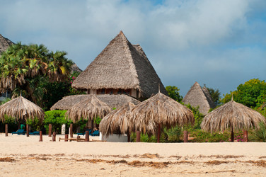 Similar image 8526267