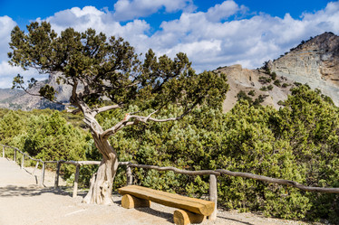 Similar image 8526532