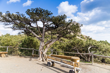 Similar image 8526554