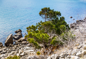 Similar image 8526631