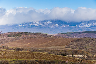 Similar image 8526671