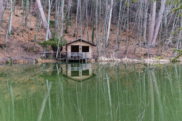 Similar image 8526721