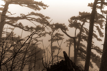 Similar image 8526722