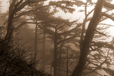 Similar image 8526724