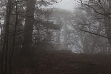 Similar image 8526726