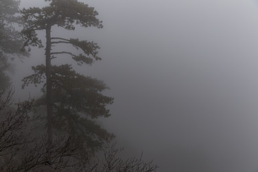 Similar image 8526727