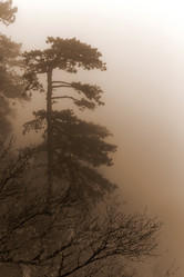 Similar image 8526728